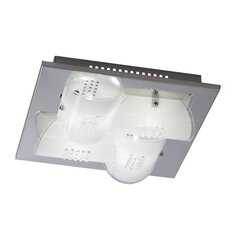 Потолочный светильник Italux Plafon Daze цена и информация | Потолочные светильники | pigu.lt