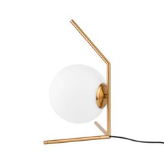 Настольная лампа Italux Mondo MTE2104/1 цена и информация | Настольные светильники | pigu.lt
