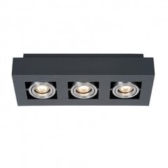 Italux pakabinamas šviestuvas Casemiro kaina ir informacija | Pakabinami šviestuvai | pigu.lt