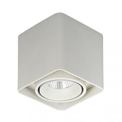 Italux pakabinamas šviestuvas Bonnie kaina ir informacija | Pakabinami šviestuvai | pigu.lt