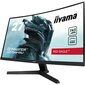 Iiyama G2766HSU-B1 kaina ir informacija | Monitoriai | pigu.lt