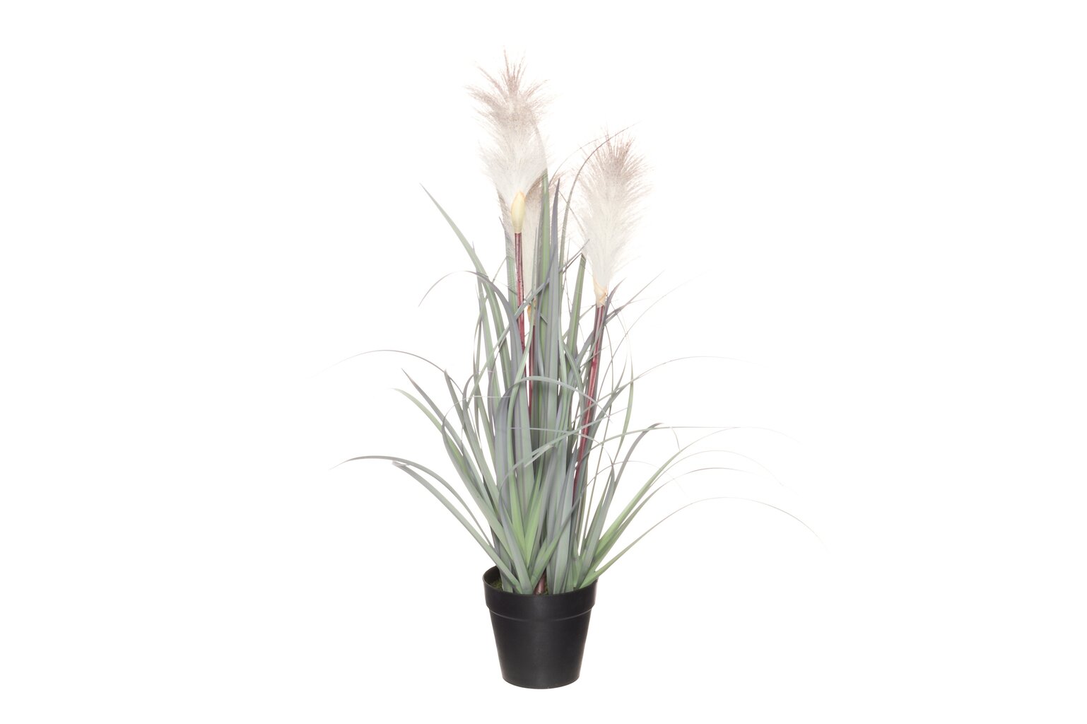 4Living dirbtinis augalas Nendrės, 55 cm kaina ir informacija | Dirbtinės gėlės | pigu.lt