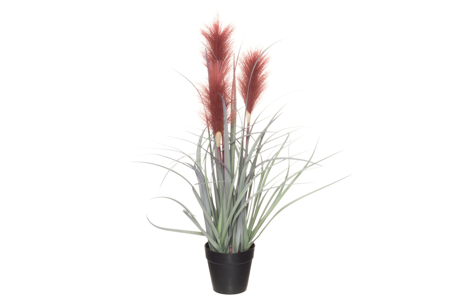 4Living dirbtinis augalas Nendrės, 55 cm kaina ir informacija | Dirbtinės gėlės | pigu.lt