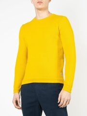 Свитер для мужчин Tom Tailor, желтый цена и информация | Мужские свитера | pigu.lt