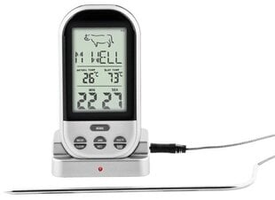 Mėsos termometras Dangrill Day digital kaina ir informacija | Grilio, šašlykinių priedai ir aksesuarai  | pigu.lt