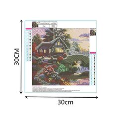 Алмазная картина-мозаика 5D набор (клеика страз) 30x30 см DK31055 цена и информация | Алмазная мозаика | pigu.lt