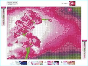 Алмазная картина-мозаика 5D набор (клеика страз) 30x40 см DK41175 цена и информация | Алмазная мозаика | pigu.lt