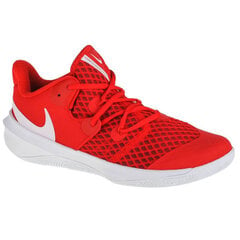 Kedai vyrams Nike W Zoom Hyperspeed kaina ir informacija | Kedai vyrams | pigu.lt