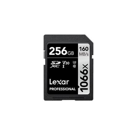 Lexar LSD1066256G-BNNNG kaina ir informacija | Atminties kortelės telefonams | pigu.lt