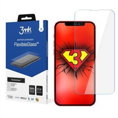 Защитное стекло Apple iPad Pro 12.9 3rd/4th gen. - 3mk FlexibleGlass™ 13'' screen protector цена и информация | Защитные пленки для телефонов | pigu.lt