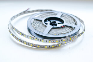 LED juosta 10W/m kaina ir informacija | LED juosta 10W/m | pigu.lt