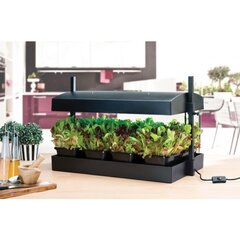 „Grow Light Garden“ daigykla 24W, juoda kaina ir informacija | Vazonėliai daiginimui ir persodinimui | pigu.lt