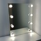 Kosmetinis veidrodis SILVER II 55x70 kaina ir informacija | Veidrodžiai | pigu.lt
