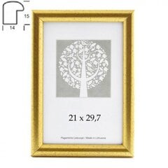 Nuotraukų rėmelis Aura 30x40 cm kaina ir informacija | Rėmeliai, nuotraukų albumai | pigu.lt