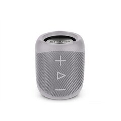 Sharp GX-BT180GR, серый цена и информация | Аудиоколонки | pigu.lt