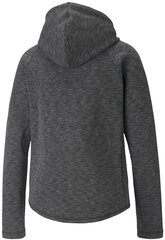 Puma Джемпер Evostripe Full-Zip Grey 589157 01/M цена и информация | Женские толстовки | pigu.lt