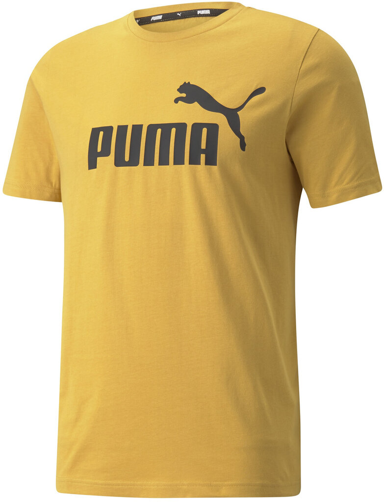 Marškinėliai vyrams Puma 58666737 kaina ir informacija | Vyriški marškinėliai | pigu.lt