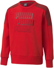 Детский джемпер Puma Alpha Crew 589266 11/152, красный цена и информация | Свитеры, жилетки, пиджаки для мальчиков | pigu.lt