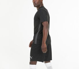 Puma Футболки FtblPlay Shirt Black 656810 06/XL цена и информация | Мужские термобрюки, темно-синие, SMA61007 | pigu.lt