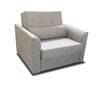 Sofa Mini 1, pilka kaina ir informacija | Sofos | pigu.lt
