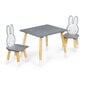 Vaikiškas stalo ir kėdžių komplektas Ecotoys, pilkas kaina ir informacija | Vaikiškos kėdutės ir staliukai | pigu.lt