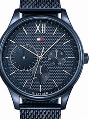 Vyriškas laikrodis Tommy Hilfiger 1791421 цена и информация | Мужские часы | pigu.lt