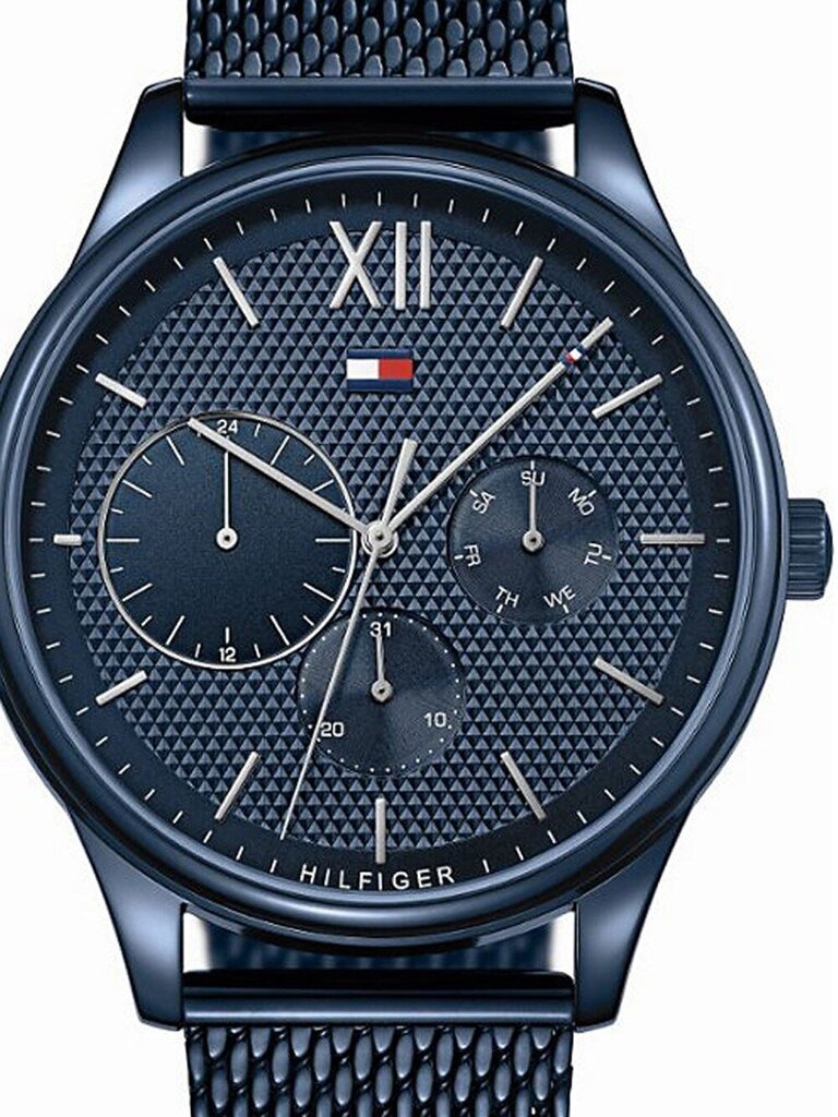 Vyriškas laikrodis Tommy Hilfiger 1791421 цена и информация | Vyriški laikrodžiai | pigu.lt