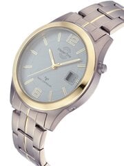 Laikrodis vyrams Master Time MTGT 10353 42M цена и информация | Мужские часы | pigu.lt