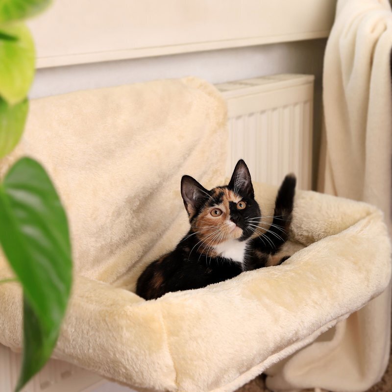 Dibea ant radiatoriaus kabinamas katės guolis, 55x36x26 cm