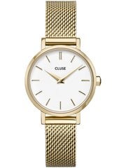 Laikrodis vyrams Cluse CW0101211001 kaina ir informacija | Vyriški laikrodžiai | pigu.lt
