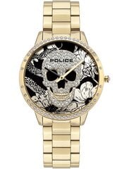 Laikrodis moterims Police PL16067MSG 02M цена и информация | Женские часы | pigu.lt