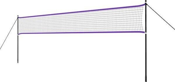 Badmintono tinklas Nils NT300, 620x160 cm цена и информация | Badmintonas | pigu.lt