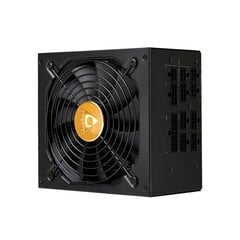 Chieftec Polaris 850W PPS-850FC цена и информация | Блоки питания (PSU) | pigu.lt