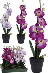 Искусственное растение Орхидея, 38 см цена и информация | Детали интерьера | pigu.lt