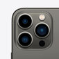 Apple iPhone 13 Pro Max, 256GB, Graphite kaina ir informacija | Mobilieji telefonai | pigu.lt