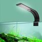Led akvariumo lempa 10w цена и информация | Akvariumai ir jų įranga | pigu.lt