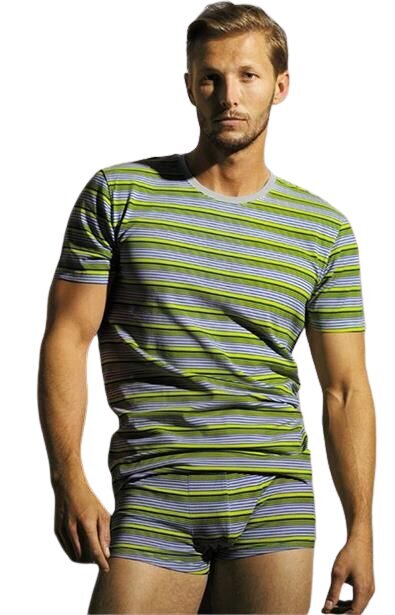 Apatiniai marškinėliai vyrams Henderson Zigit 30360 kaina ir informacija | Vyriški apatiniai marškinėliai | pigu.lt