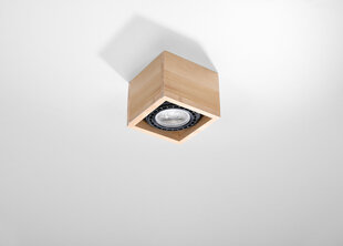 Sollux lubinis šviestuvas Quatro, rudas, 1 lemputė kaina ir informacija | Lubiniai šviestuvai | pigu.lt