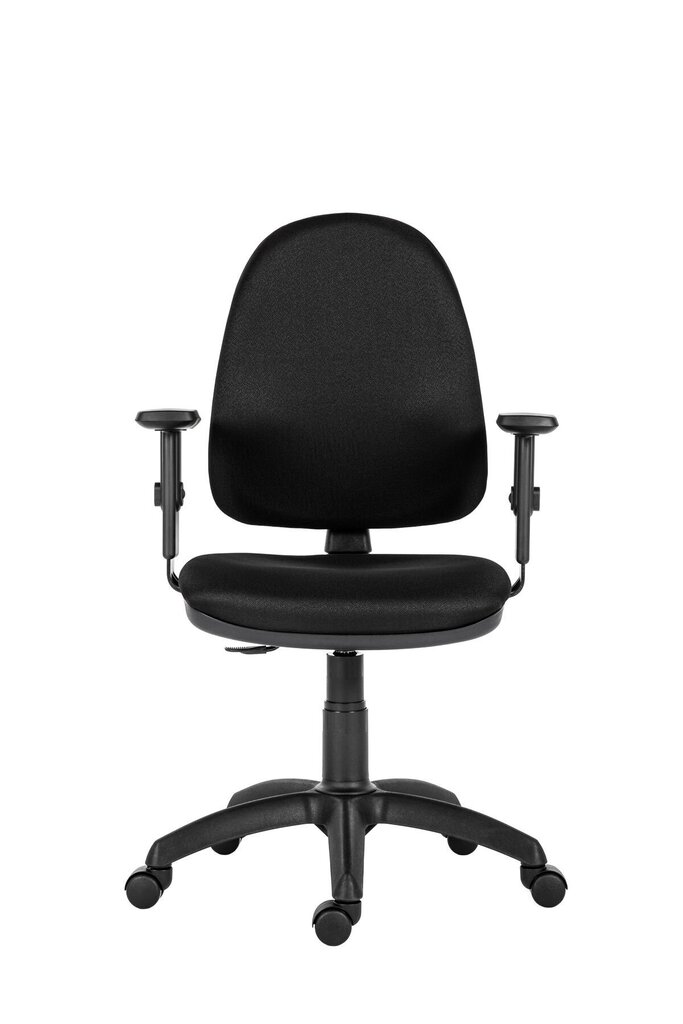 Biuro kėdė Wood Garden 1080, juoda kaina ir informacija | Biuro kėdės | pigu.lt