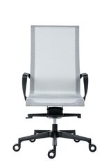 Офисное кресло Wood Garden Epic, серое/черное цена и информация | Офисные кресла | pigu.lt