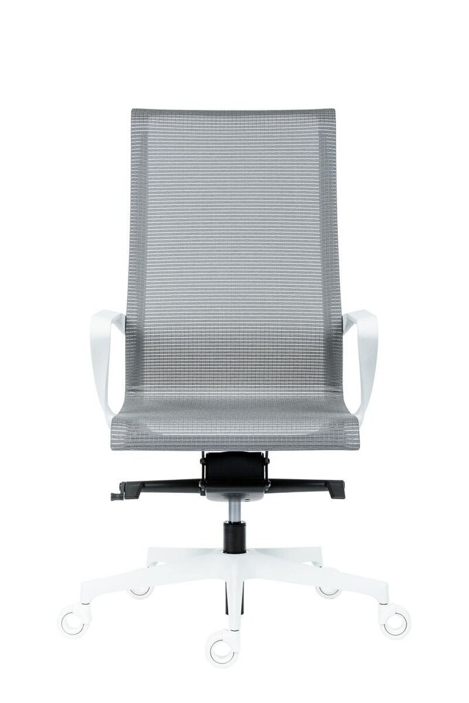 Biuro kėdė Wood Garden Epic, pilka/balta kaina ir informacija | Biuro kėdės | pigu.lt