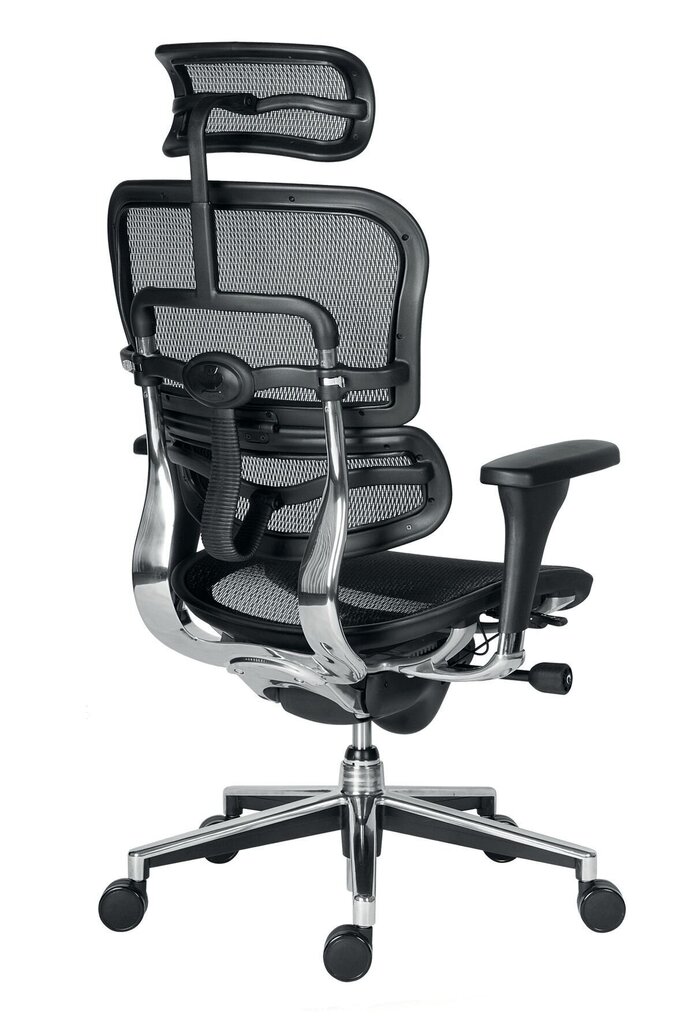 Biuro kėdė Wood Garden Ergohuman, juoda kaina ir informacija | Biuro kėdės | pigu.lt