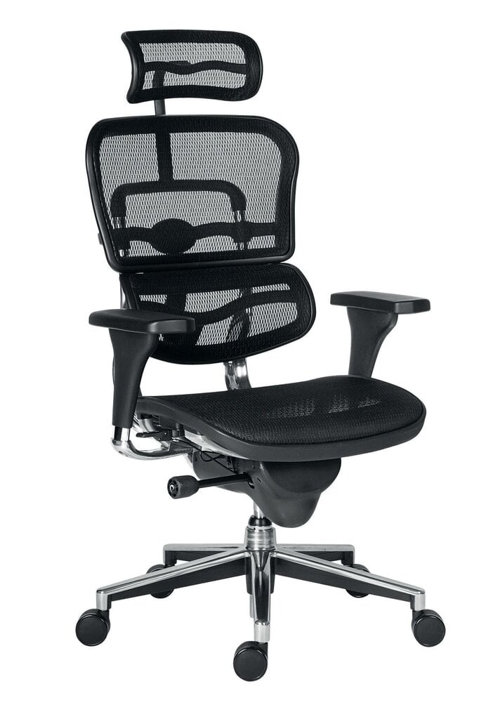 Biuro kėdė Wood Garden Ergohuman, juoda kaina ir informacija | Biuro kėdės | pigu.lt