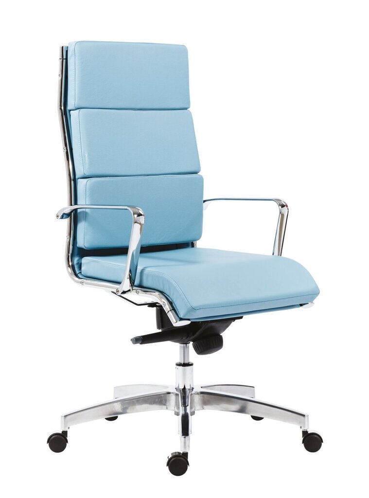 Biuro kėdė Wood Garden 8800, mėlyna kaina ir informacija | Biuro kėdės | pigu.lt