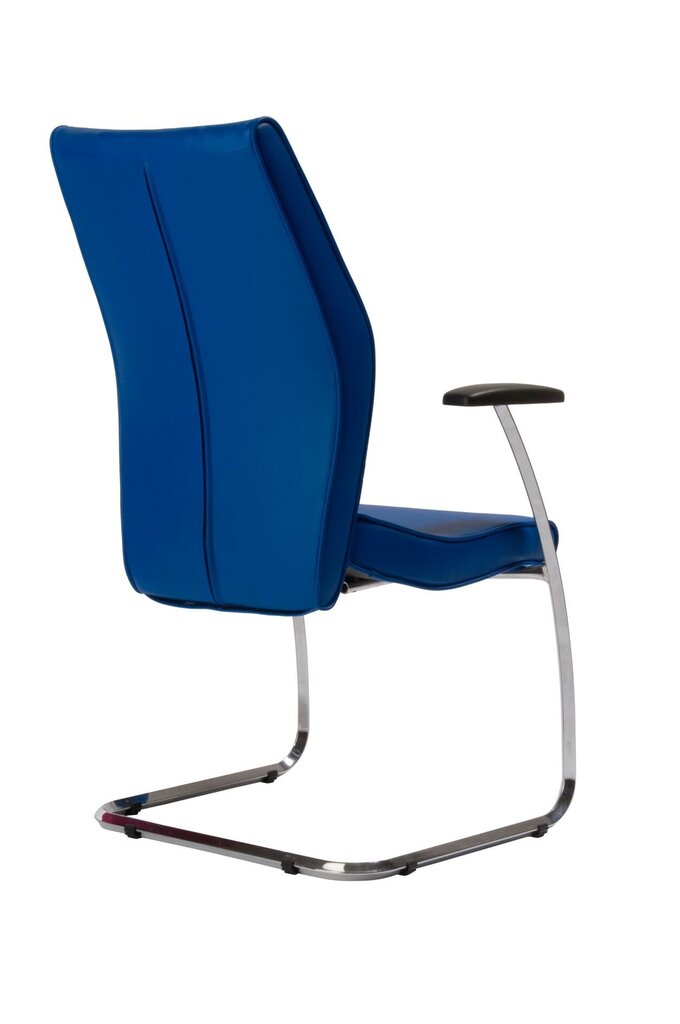 Lankytojo kėdė Wood Garden 1810S, mėlyna kaina ir informacija | Biuro kėdės | pigu.lt
