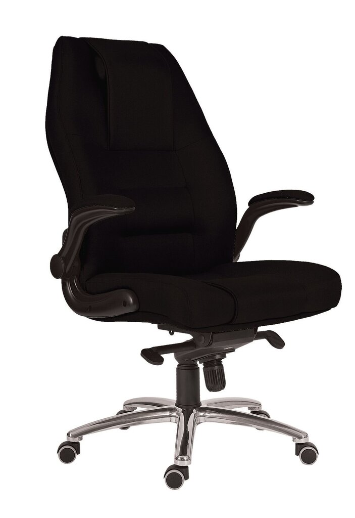 Biuro kėdė Wood Garden 8400, juoda kaina ir informacija | Biuro kėdės | pigu.lt
