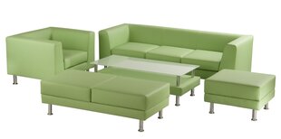 Трехместный диван Wood Garden Notre Dame, зеленый цена и информация | Диваны | pigu.lt