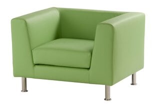 Кресло Wood Garden Notre Dame, зеленый цена и информация | Кресла в гостиную | pigu.lt