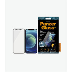 Защита экрана из закаленного стекла для iPhone 12 Mini цена и информация | Защитные пленки для телефонов | pigu.lt