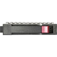 HPE 801888-B21 цена и информация | Внутренние жёсткие диски (HDD, SSD, Hybrid) | pigu.lt